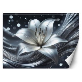 Fototapeta Feeby Srebrny kwiat abstrakcji  150x105 1 szt