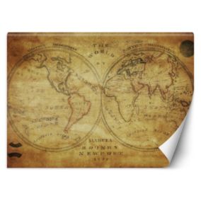 Fototapeta Feeby Stara retro mapa świata  150x105 1 szt