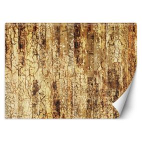 Fototapeta Feeby Stare Drewno Złoty  350x245 1 szt