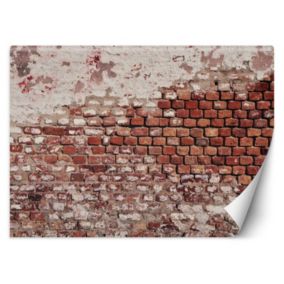 Fototapeta Feeby Stary ceglany mur  250x175 1 szt