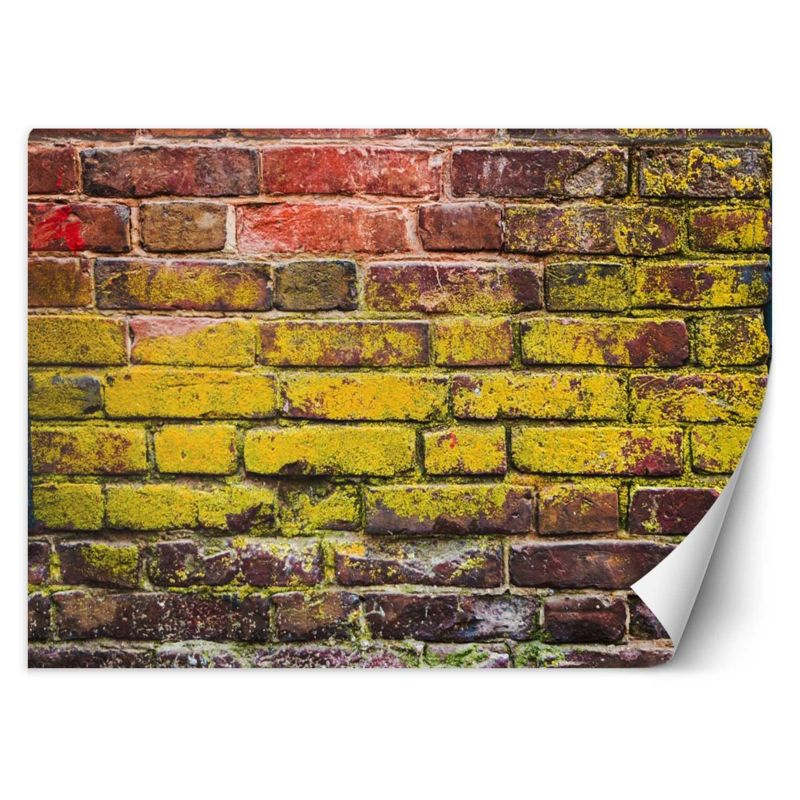 Fototapeta Feeby Stary mur z cegieł  300x210 1 szt