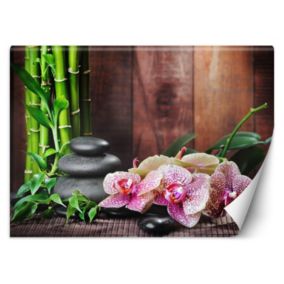 Fototapeta Feeby Storczyk bambus kamienie  250x175 1 szt