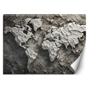 Fototapeta Feeby Szara mapa świata 3D  350x245 1 szt