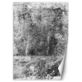 Fototapeta Feeby Szara tekstura beton  200x280 1 szt
