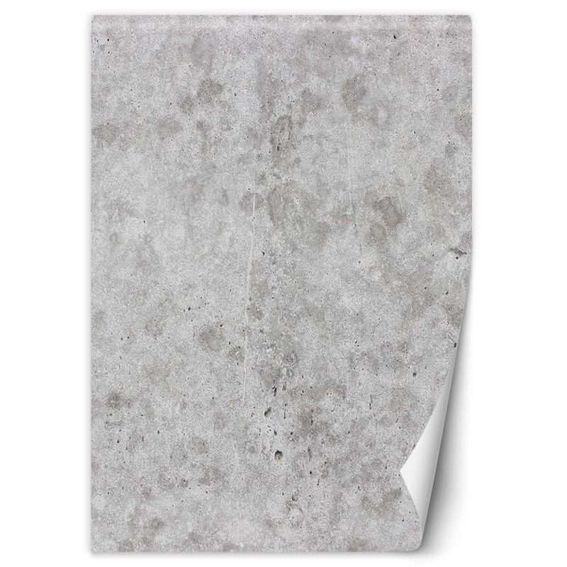 Fototapeta Feeby Szary beton imitacja  100x140 1 szt