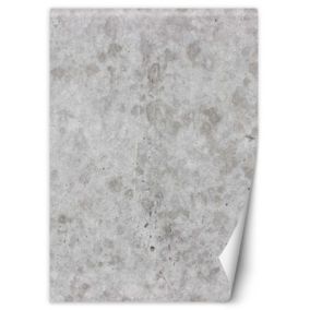 Fototapeta Feeby Szary beton imitacja  100x140 1 szt