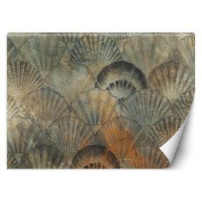 Fototapeta Feeby Szary Wachlarz Beton  150x105 1 szt