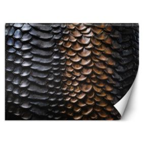 Fototapeta Feeby Tekstura skóry węża  200x140 1 szt