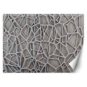 Fototapeta Feeby Tekstura tło 3D  250x175 1 szt