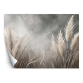 Fototapeta Feeby Trawa Natura Botanika  150x105 1 szt