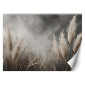 Fototapeta Feeby trawa, natura, botanika  250x175 1 szt