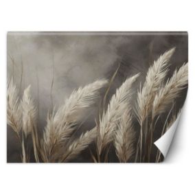 Fototapeta Feeby trawa, natura, botanika, beżowy  400x280 1 szt