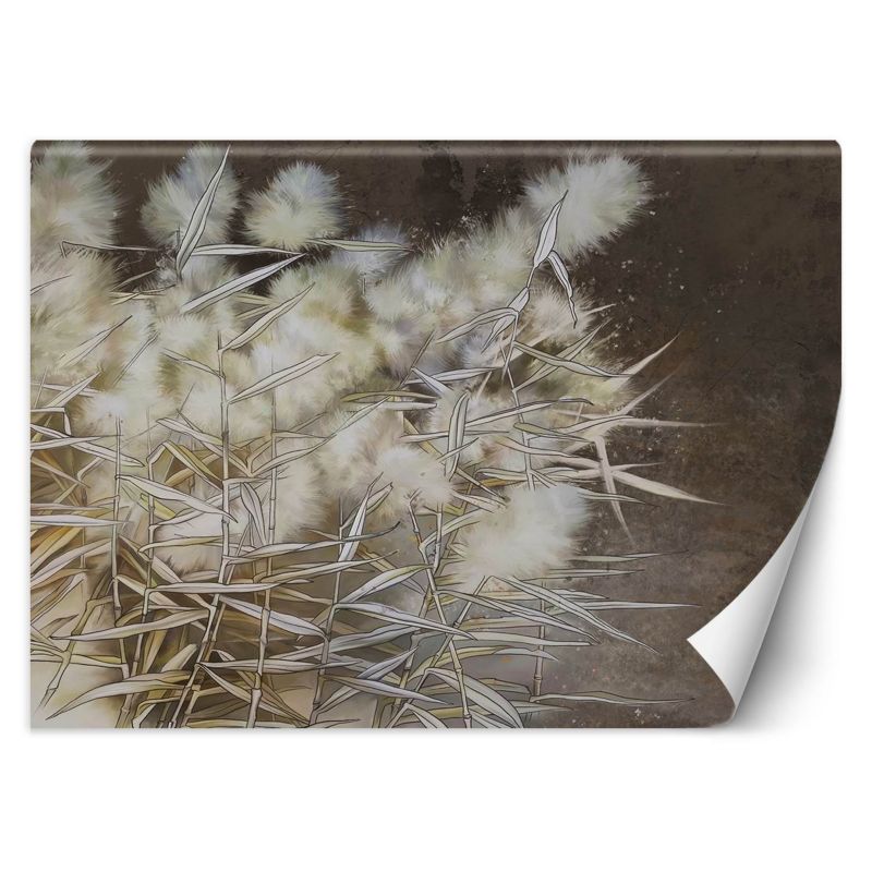 Fototapeta Feeby Trawa pampasowa boho  254x184 1 szt