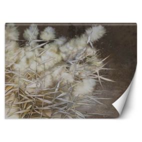 Fototapeta Feeby Trawa pampasowa boho  254x184 1 szt
