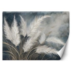 Fototapeta Feeby Trawa pampasowa Botanika  100x70 1 szt