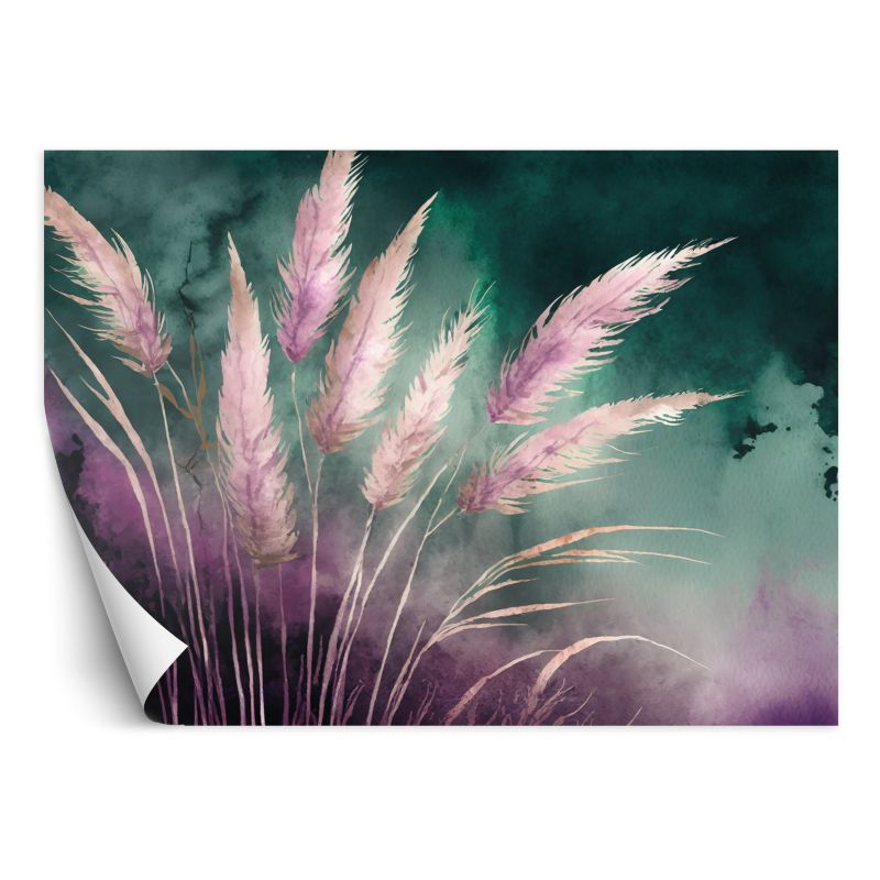 Fototapeta Feeby Trawa pampasowa Natura Botanika Abstrakcja  400x280 1 szt
