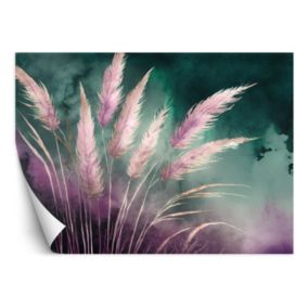 Fototapeta Feeby Trawa pampasowa Natura Botanika Abstrakcja  400x280 1 szt
