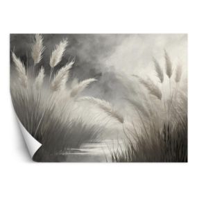Fototapeta Feeby Trawa trzcinowa Przyroda Botanika  200x140 1 szt