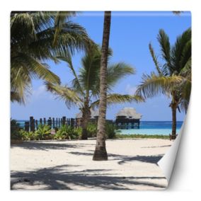 Fototapeta Feeby Tropikalna plaża palmy natura   100x100 1 szt