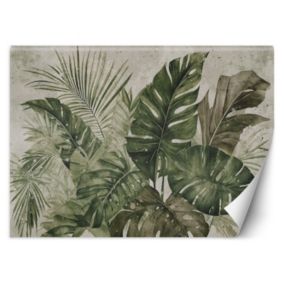 Fototapeta Feeby Tropikalne liście monstery  350x245 1 szt