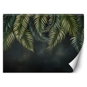 Fototapeta Feeby Tropikalne liście zielone  350x245 1 szt