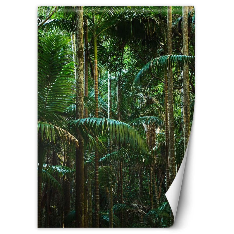 Fototapeta Feeby Tropikalny las natura  200x280 1 szt