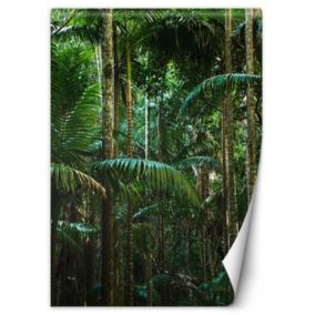 Fototapeta Feeby Tropikalny las natura  200x280 1 szt