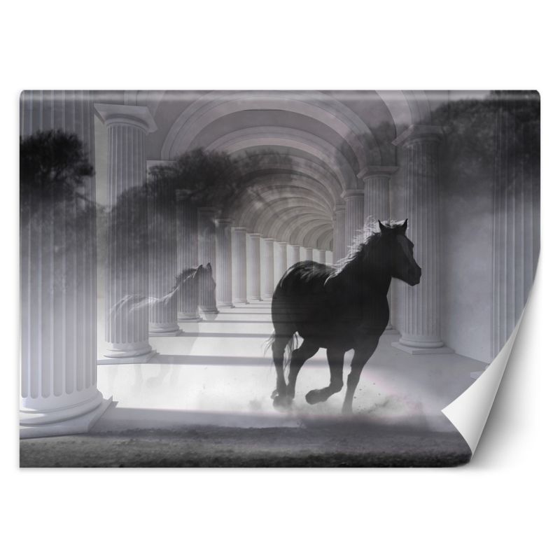 Fototapeta Feeby Tunel biegnący koń efekt 3D  450x315 1 szt