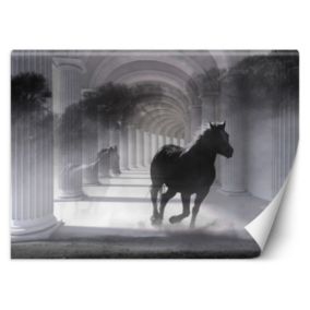 Fototapeta Feeby Tunel biegnący koń efekt 3D  450x315 1 szt