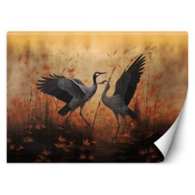 Fototapeta Feeby Żuraw Natura Ptaki  300x210 1 szt