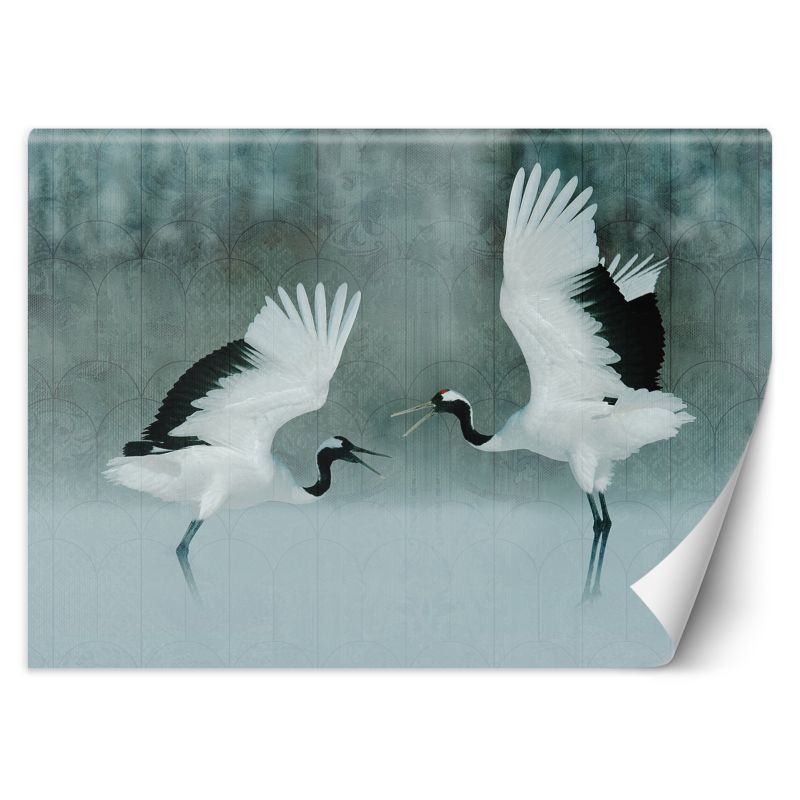 Fototapeta Feeby Żurawie ptaki  150x105 1 szt