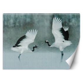 Fototapeta Feeby Żurawie ptaki  150x105 1 szt
