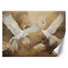 Fototapeta Feeby Żurawie Ptaki Zwierzęta  350x245 1 szt