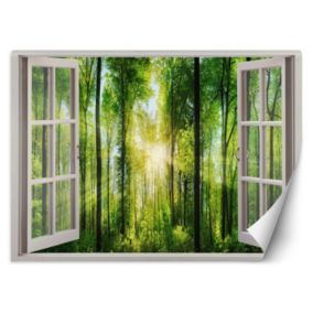 Fototapeta Feeby Widok Okno promienie słońca  210x150 1 szt