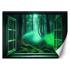 Fototapeta Feeby Widok z okna Fantastyczny las  350x245 1 szt