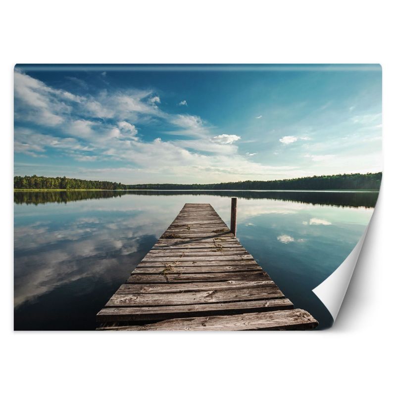 Fototapeta Feeby Widok z pomostu na jezioro i las  200x140 1 szt