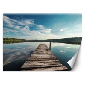 Fototapeta Feeby Widok z pomostu na jezioro i las  200x140 1 szt