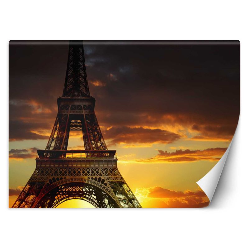 Fototapeta Feeby Wieża Eiffla zachód słońca  200x140 1 szt