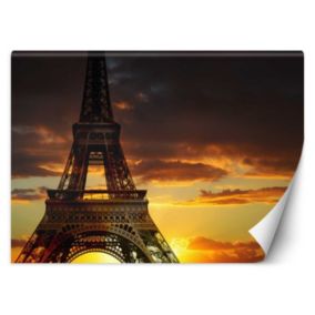 Fototapeta Feeby Wieża Eiffla zachód słońca  450x315 1 szt