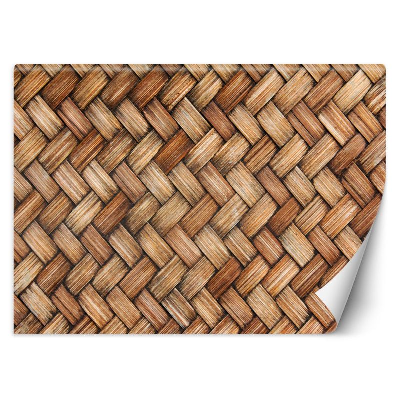 Fototapeta Feeby Wiklina   350x245 1 szt