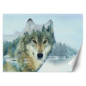 Fototapeta Feeby Wilk jezioro  250x175 1 szt