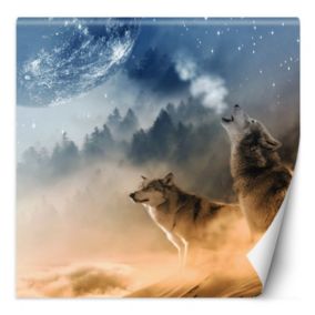 Fototapeta Feeby Wilk księżyc las we mgle  300x300 1 szt