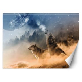 Fototapeta Feeby Wilki las we mgle  250x175 1 szt