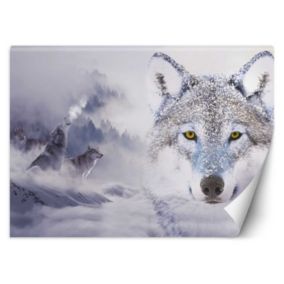 Fototapeta Feeby Wilki zima las we mgle  350x245 1 szt
