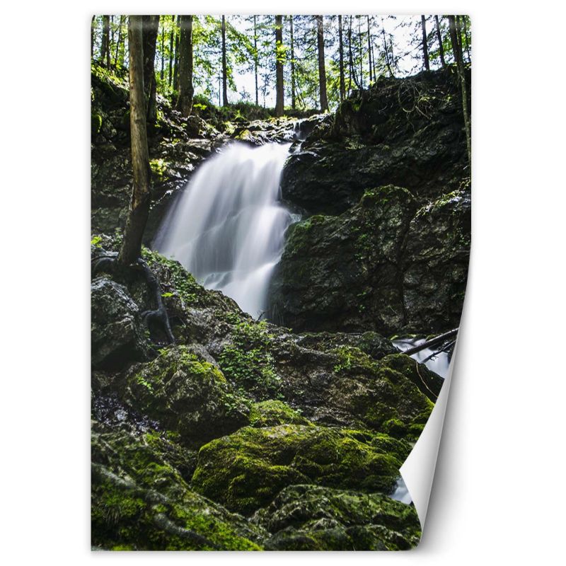 Fototapeta Feeby Wodospad w lesie  150x210 1 szt