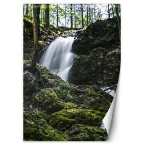 Fototapeta Feeby Wodospad w lesie  200x280 1 szt