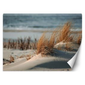 Fototapeta Feeby Wydmy nad Morzem Bałtyckim  150x105 1 szt