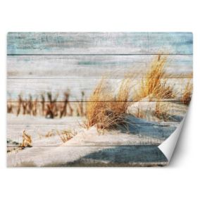 Fototapeta Feeby Wydmy plaża na drewnie  368x254 1 szt