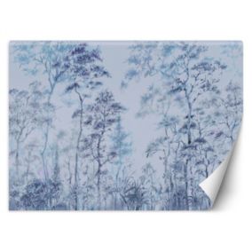 Fototapeta Feeby Wysokie drzewa natura  254x184 1 szt