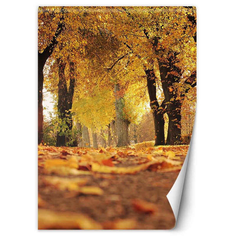 Fototapeta Feeby Złota jesień w parku  150x210 1 szt